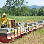Appartamento Le Casette Nel Lurisia
