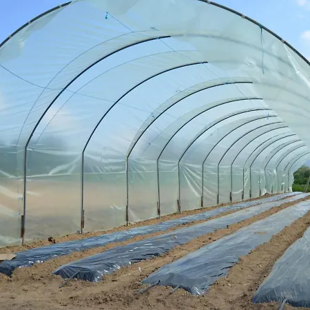 Le Casette Nel Lägenhet