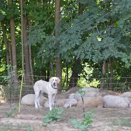 Lägenhet Le Casette Nel