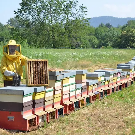 Διαμέρισμα Le Casette Nel Lurisia